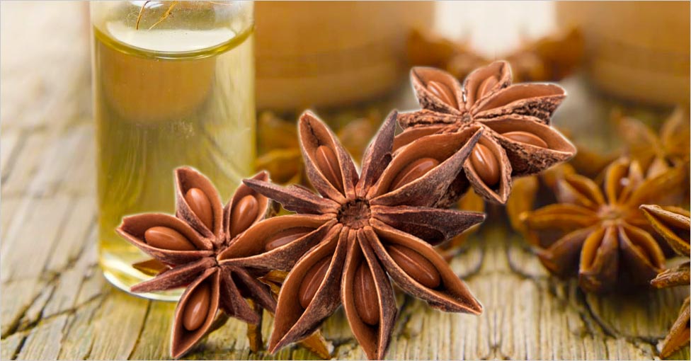 Vì sao bạn nên thử uống nước hoa hồi?