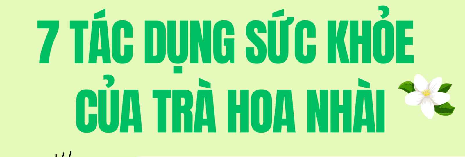 7 tác dụng sức khỏe của trà hoa nhài