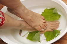 Bài thuốc dân gian chữa đau nhức xương khớp hiệu quả