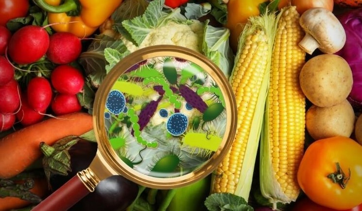 Thủ tướng ra Công điện chỉ đạo ngăn ngừa, xử lý ngộ độc thực phẩm